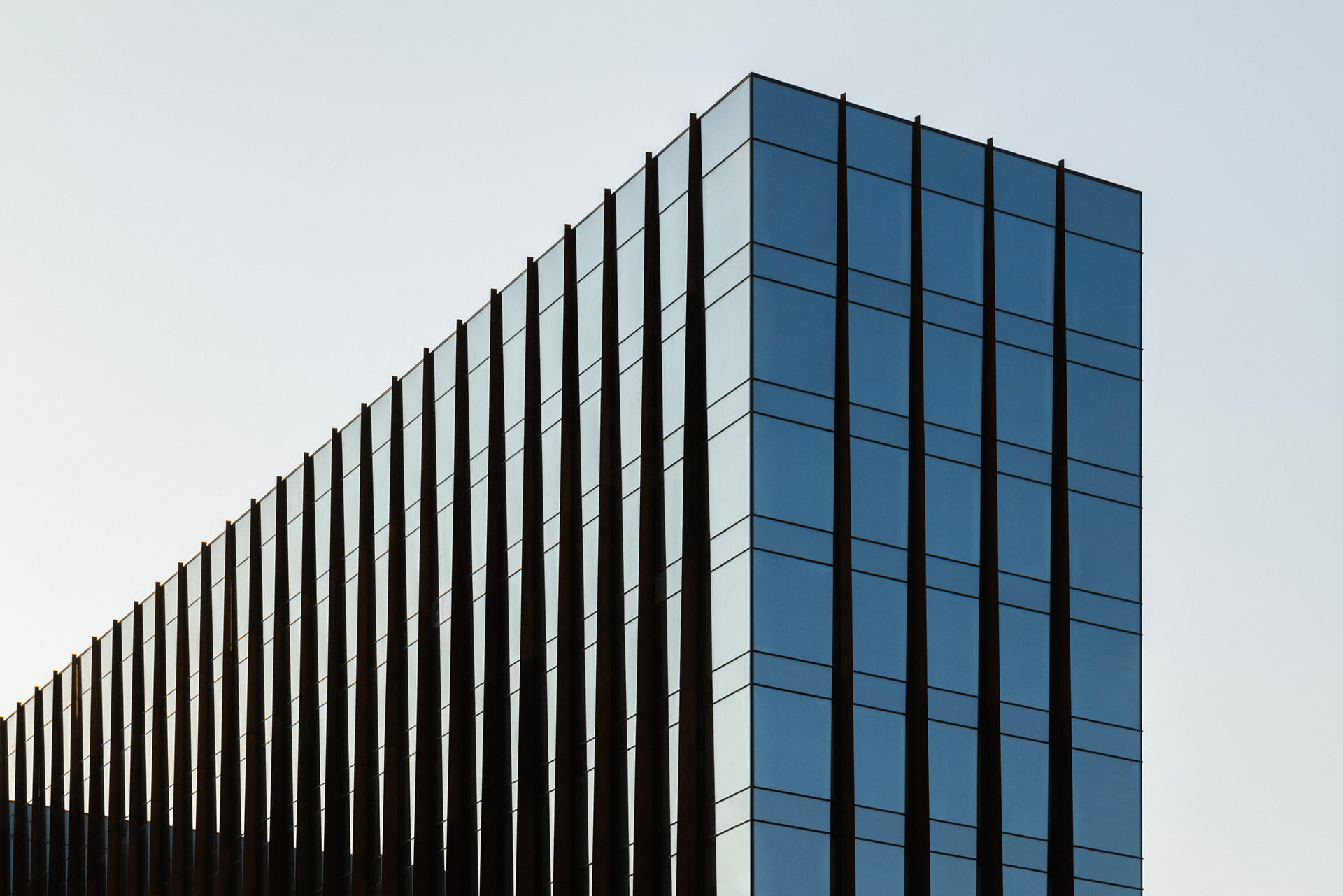 Уведомление о сроках ввода офисного центра TALLER